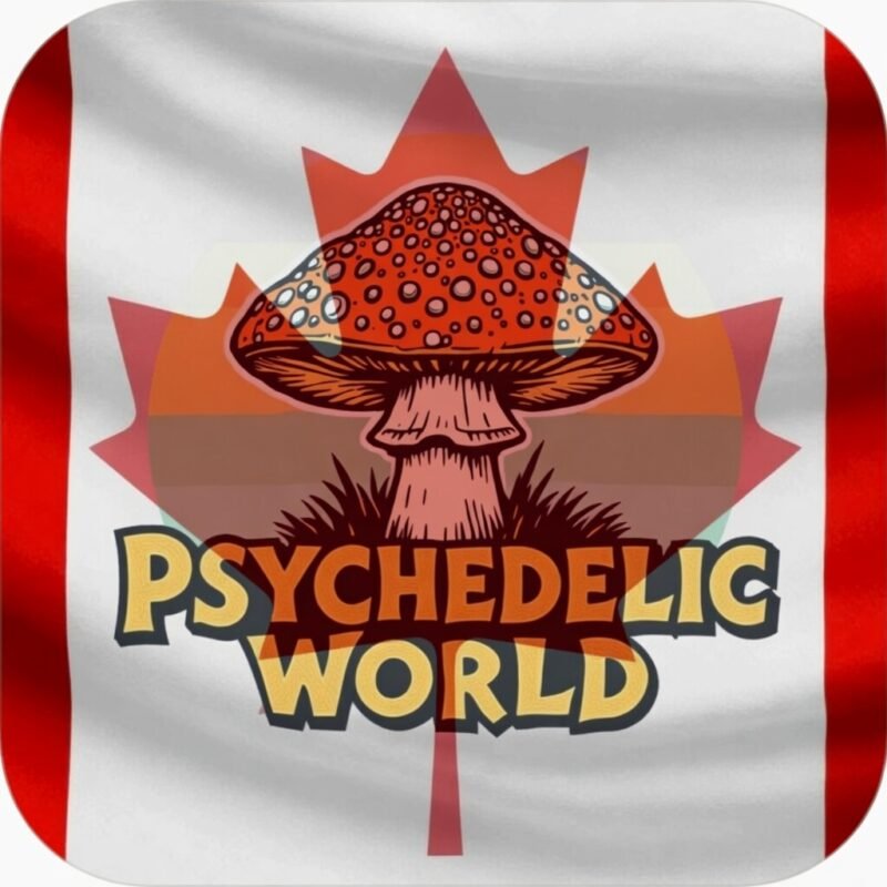 pyschedelicworld.ca