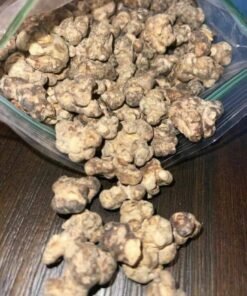 Our Golden Teacher mushrooms are sourced and packaged to ensure maximum potency, purity, and freshness. Truffle Mushroom is golden teacher